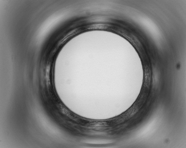 X0000100351150200806060754