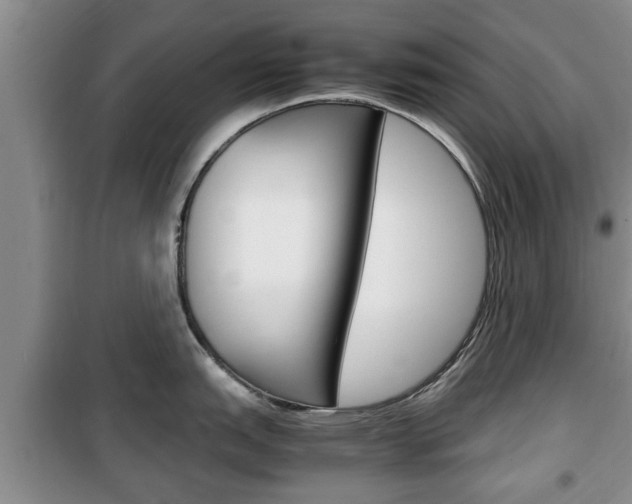 X0000100351151200806060754