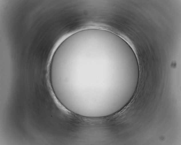 X0000100351152200806060754