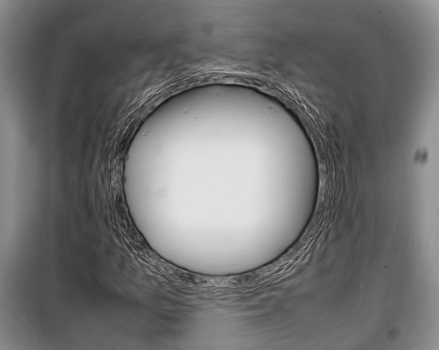X0000100351157200806060753