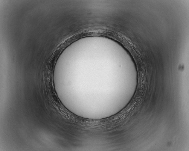 X0000100351158200806060753