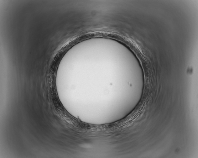 X0000100351159200806060753