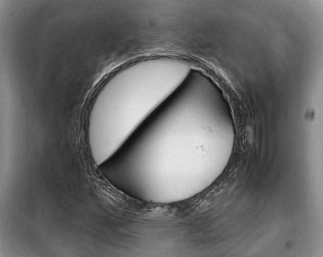 X0000100351160200806060753