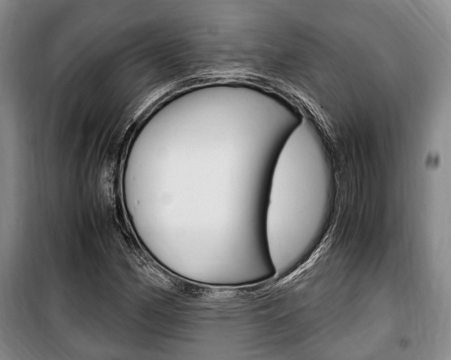 X0000100351162200806060753
