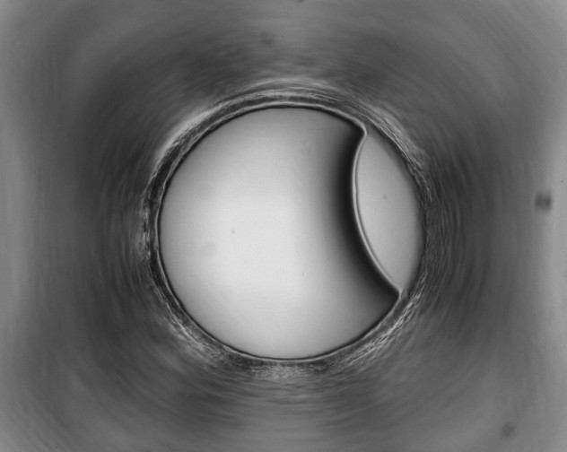 X0000100351164200806060753
