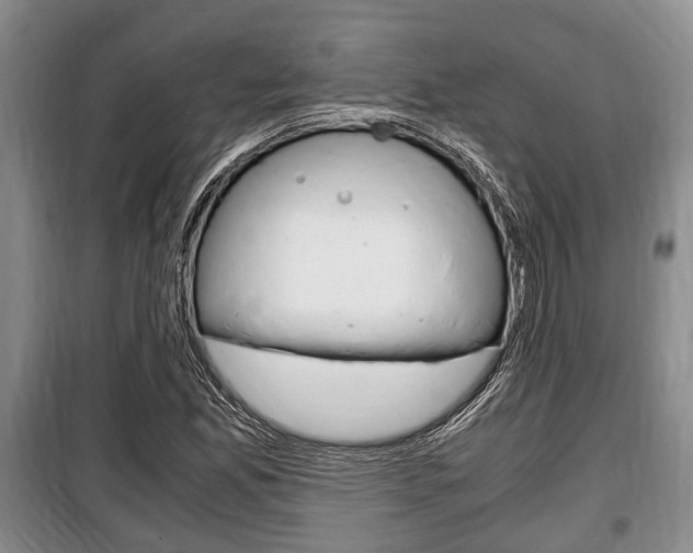 X0000100351165200806060753