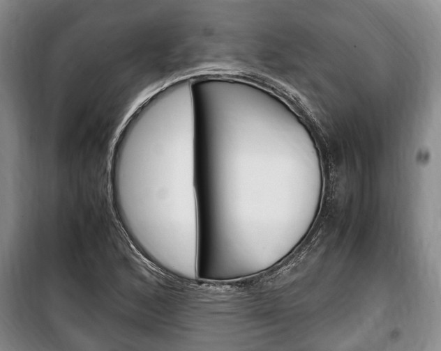 X0000100351168200806060753