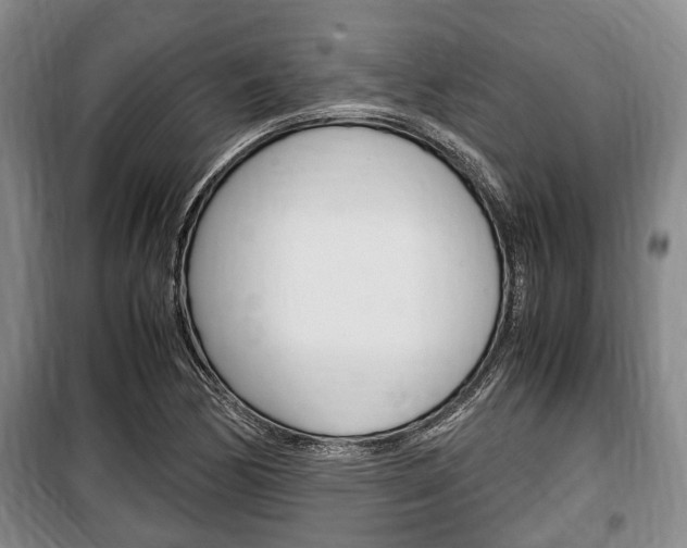 X0000100351170200806060753
