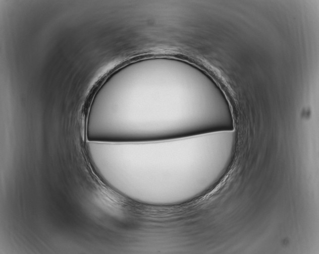 X0000100351171200806060753