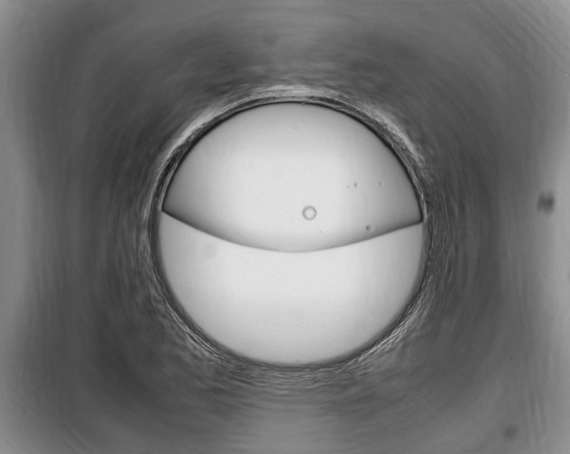X0000100351173200806060753