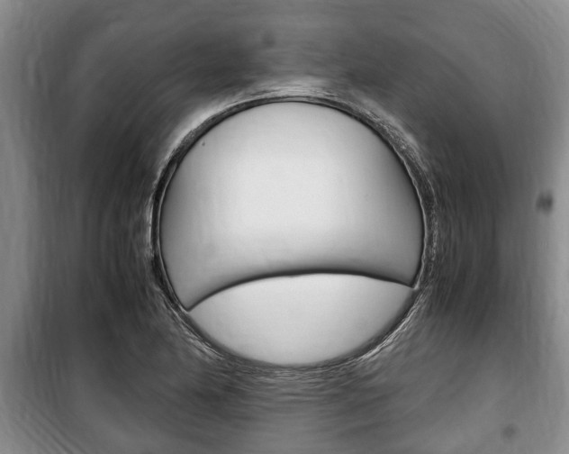 X0000100351174200806060753