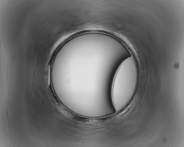 X0000100351175200806060753