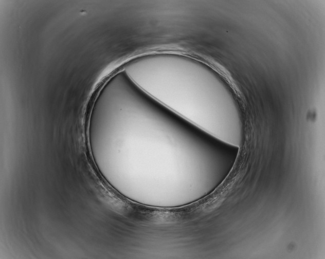 X0000100351176200806060753