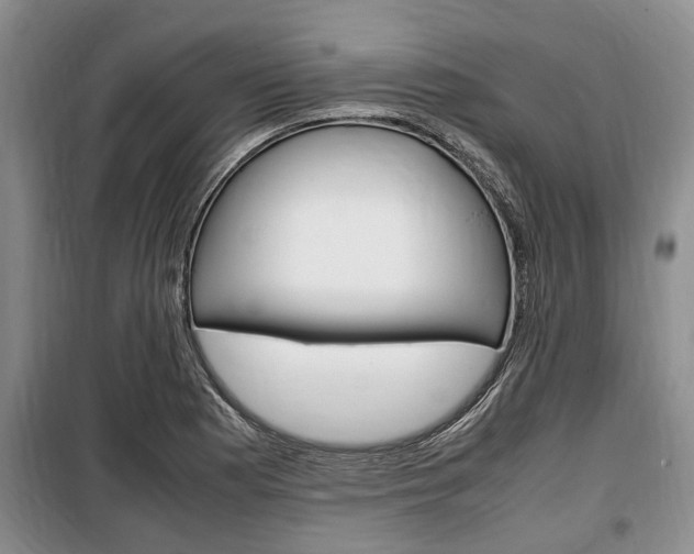 X0000100351177200806060753