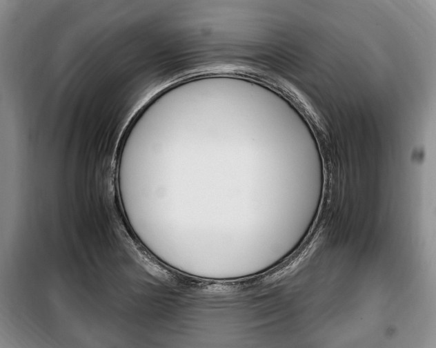 X0000100351178200806060753