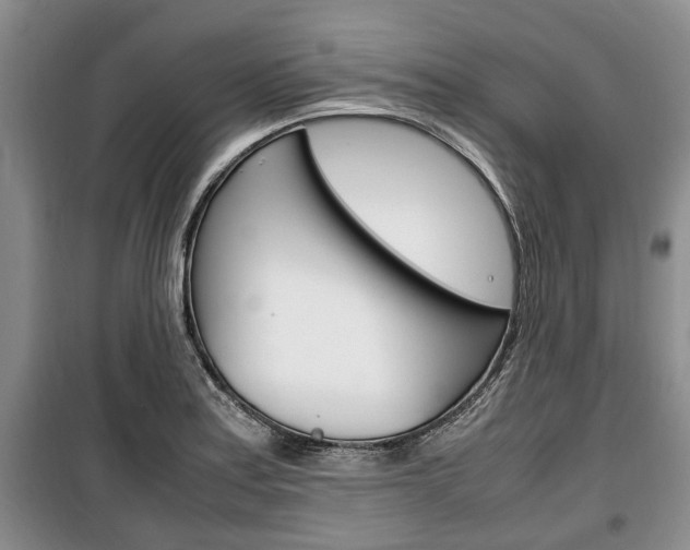 X0000100351179200806060753