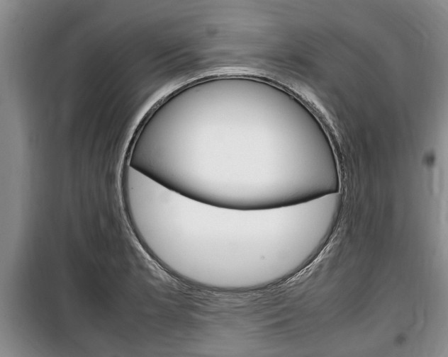 X0000100351181200806060753