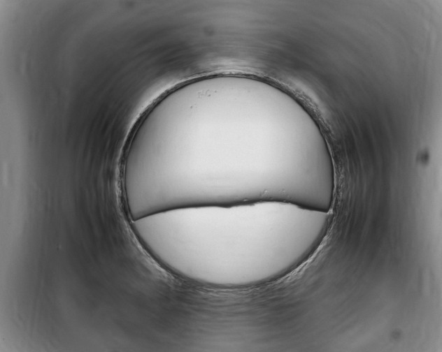 X0000100351182200806060753