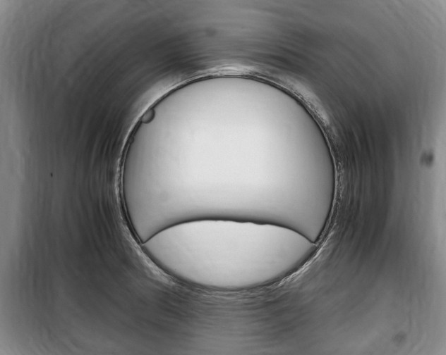 X0000100351186200806060753