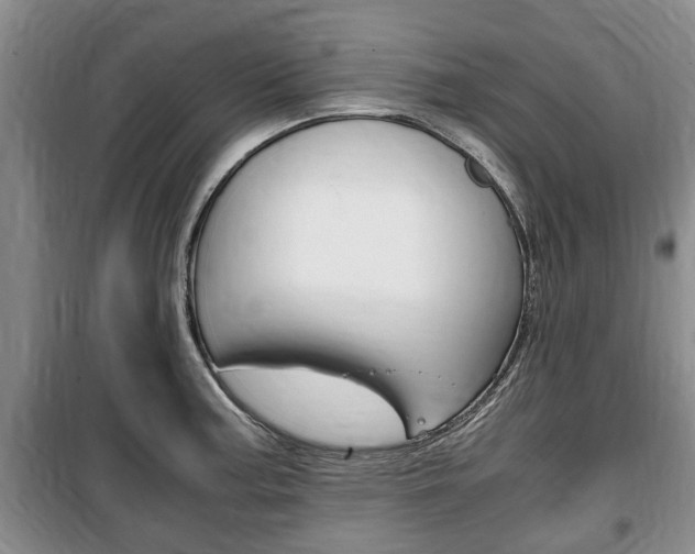 X0000100351187200806060753