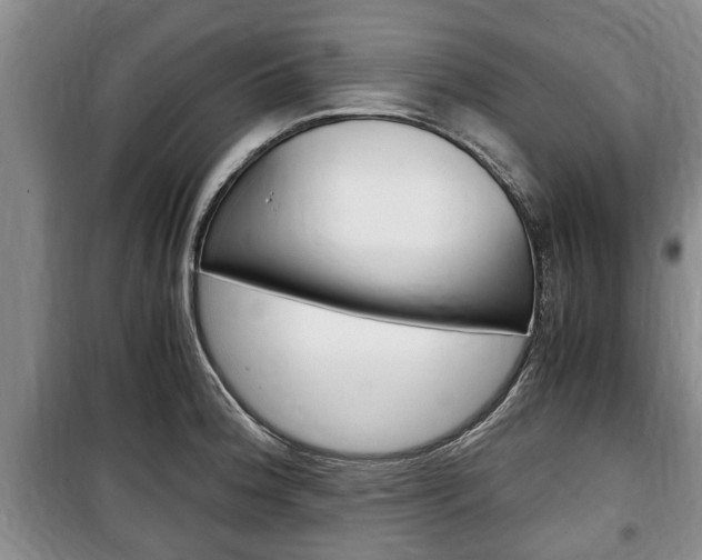 X0000100351188200806060753