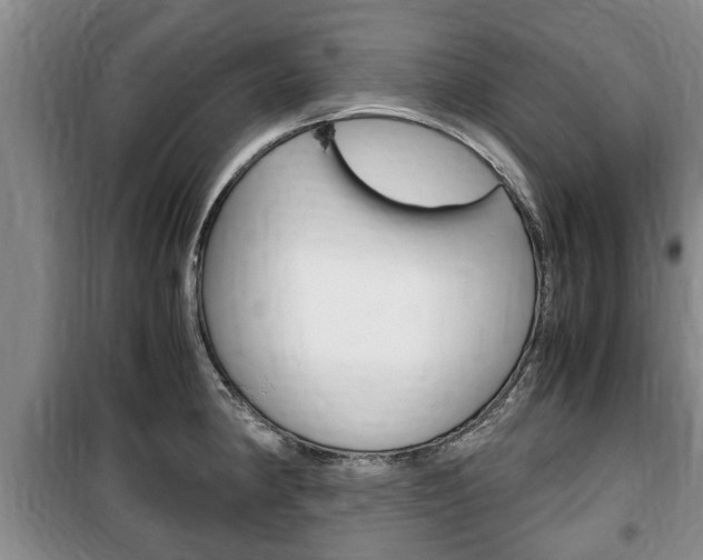 X0000100351190200806060753
