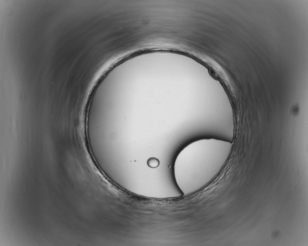 X0000100351191200806060753