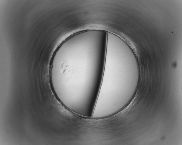 X0000100351192200806060753