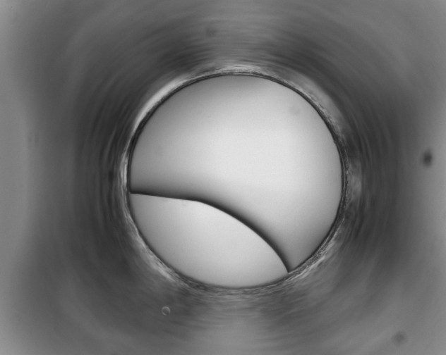 X0000100351198200806060753
