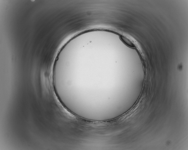 X0000100351199200806060753
