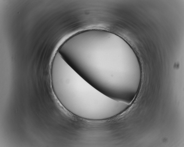 X0000100351200200806060753