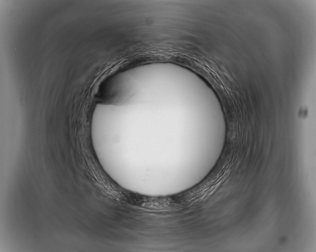 X0000100351201200806060752