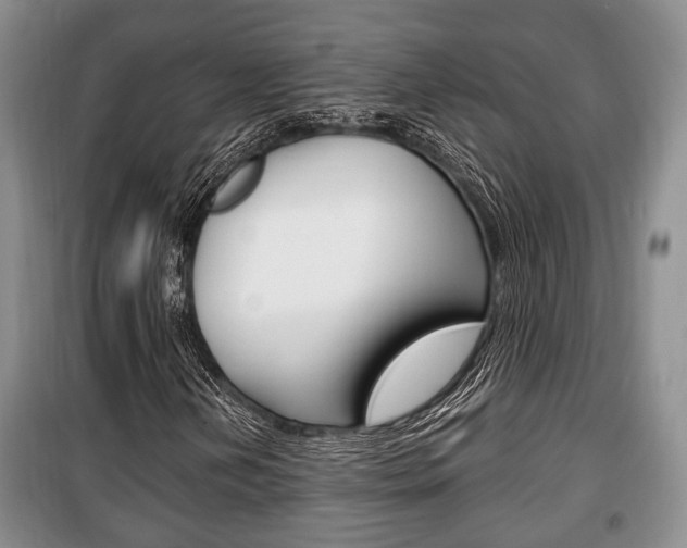 X0000100351202200806060752