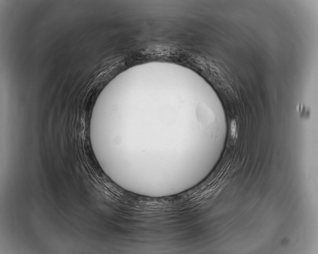 X0000100351203200806060752