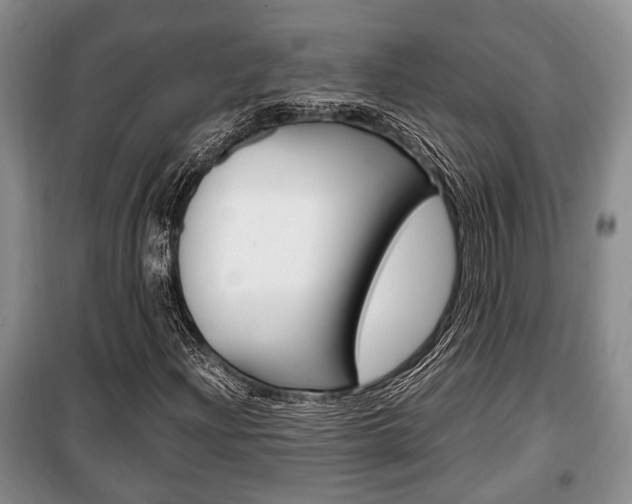 X0000100351204200806060752