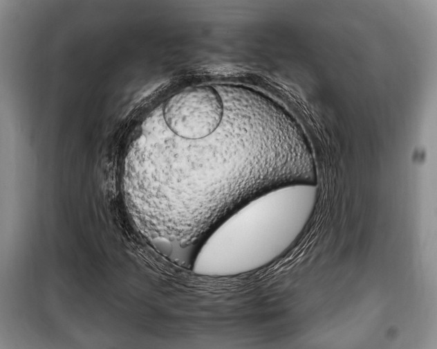 X0000100351205200806060752
