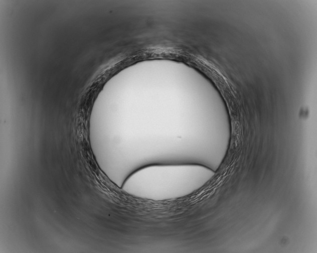 X0000100351207200806060752