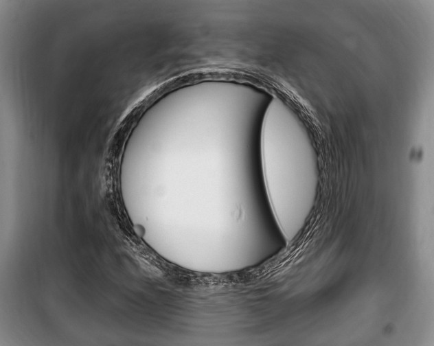 X0000100351208200806060752