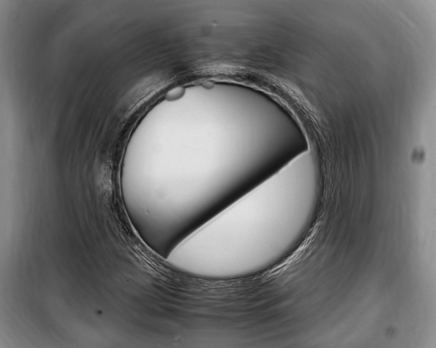 X0000100351209200806060752