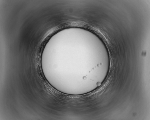 X0000100351211200806060752