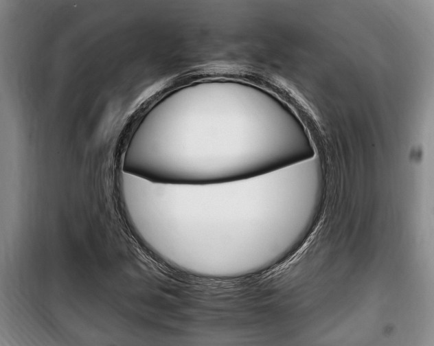 X0000100351213200806060752