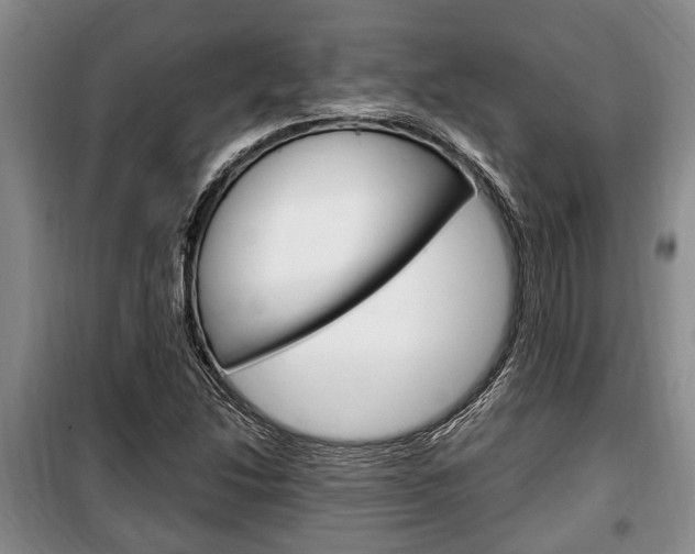 X0000100351214200806060752