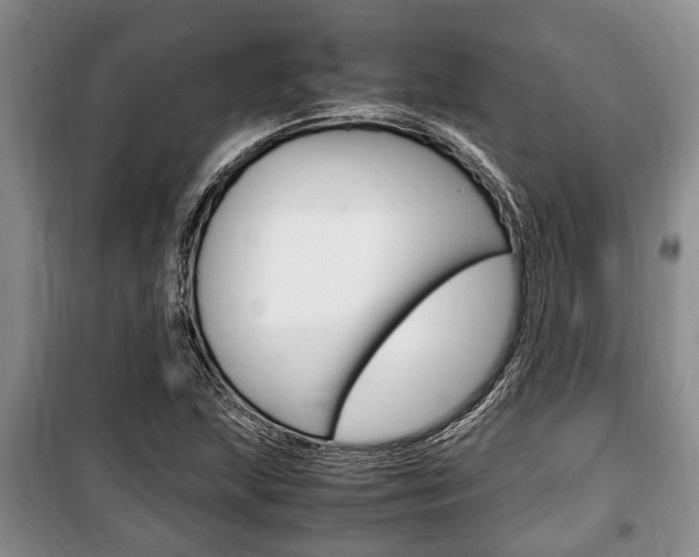 X0000100351215200806060752