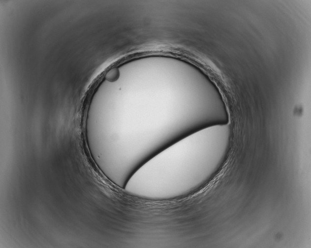 X0000100351216200806060752