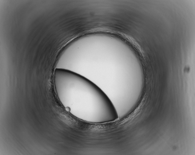 X0000100351217200806060752