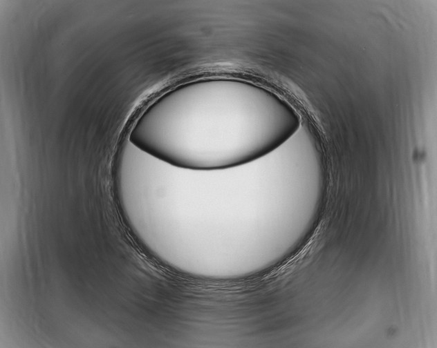 X0000100351218200806060752