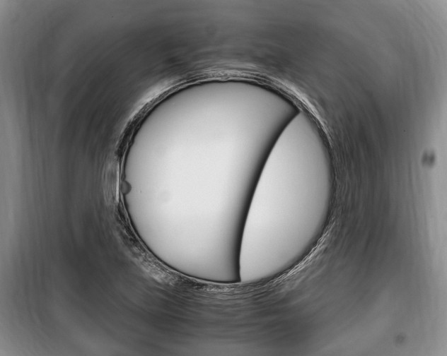 X0000100351219200806060752