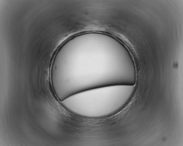 X0000100351220200806060752