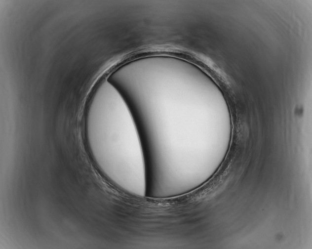 X0000100351221200806060752