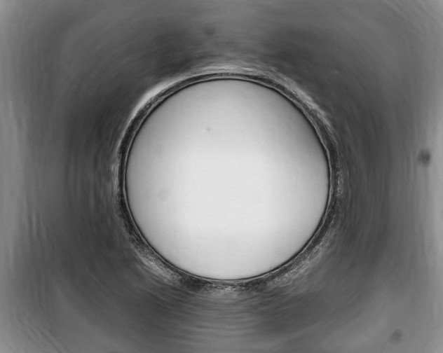 X0000100351222200806060752